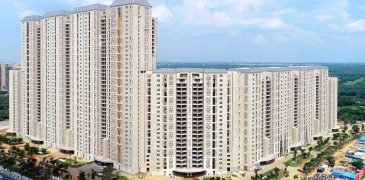 DLF Camellias Review A Project that sets the Luxury Benchmark