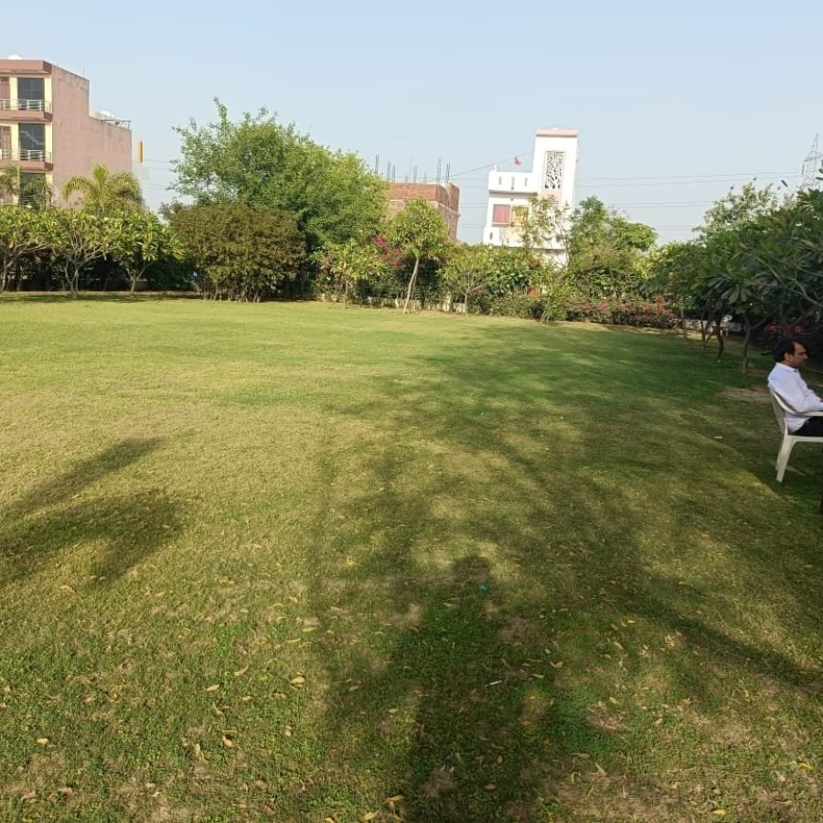MV Precore City image 2