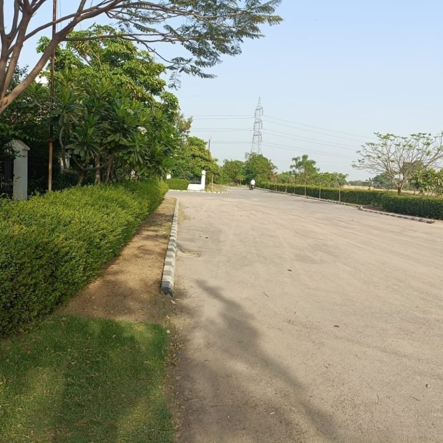 MV Precore City image 4